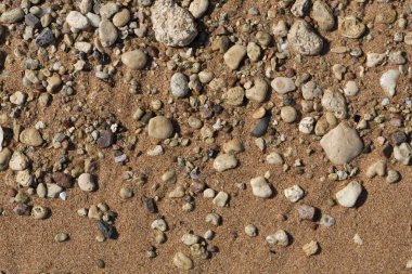 Kızıl Deniz 'in kıyı şeridi. Kum, çakıl taşı, mercan, fosil. Deniz temalı bir arkaplan.