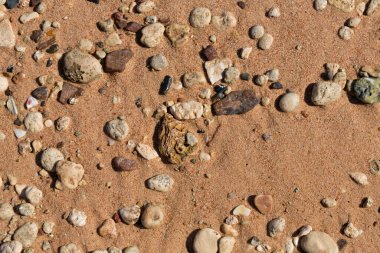 Kızıl Deniz 'in kıyı şeridi. Kum, çakıl taşı, mercan, fosil. Deniz temalı bir arkaplan.