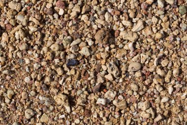 Kızıl Deniz 'in kıyı şeridi. Kum, çakıl taşı, mercan, fosil. Deniz temalı bir arkaplan.