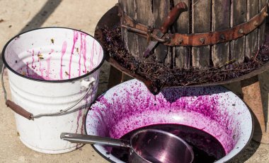 Şarap yapımı. Moldova 'da şarap üretim teknolojisi. Üzüm işlemenin eski halk geleneği. Sıkıştırıcı şarabı bastırmak için kullanılır..