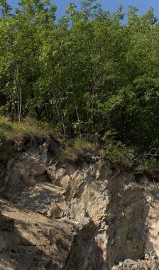 Rhodopes, Güneydoğu Avrupa 'da bir sıradağdır. Bulgaristan. Panorama. Orman alanı dağları kaplıyor..
