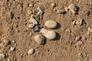 Kızıl Deniz 'in kıyı şeridi. Kum, çakıl taşı, mercan, fosil. Deniz temalı bir arkaplan.