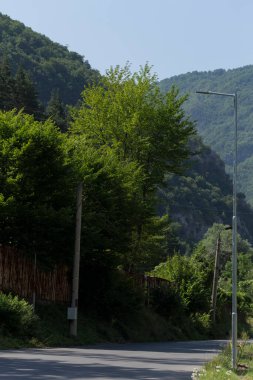 Rhodopes, Güneydoğu Avrupa 'da bir sıradağdır. Bulgaristan. Panorama. Orman alanı dağları kaplıyor..