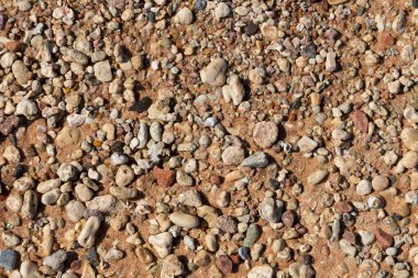 Kızıl Deniz 'in kıyı şeridi. Kum, çakıl taşı, mercan, fosil. Deniz temalı bir arkaplan.