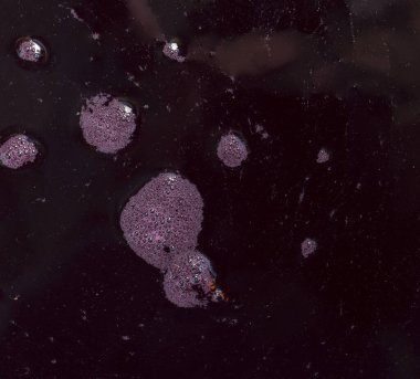 Şarap üretimi. Taze sıkılmış üzüm suyu. Yaban arısı köpüklerin içinde bocalıyor..