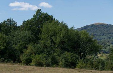 Balkan sıradağları, yerel olarak Stara Planina olarak da bilinir. Katlanmış dağların dağ zinciri.