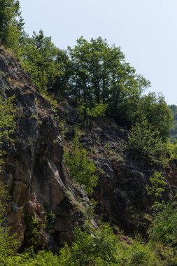 Rhodopes, Güneydoğu Avrupa 'da bir sıradağdır. Bulgaristan. Panorama. Orman alanı dağları kaplıyor..