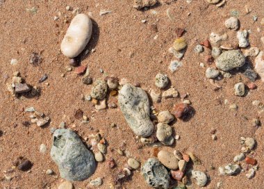 Kızıl Deniz 'in kıyı şeridi. Kum, çakıl taşı, mercan, fosil. Deniz temalı bir arkaplan.