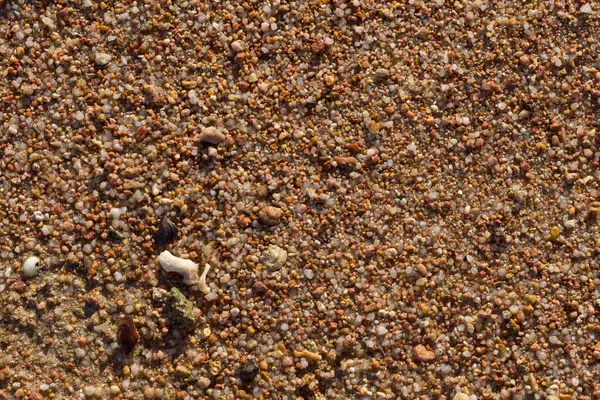 Kızıl Deniz 'in kıyı şeridi. Kum, çakıl taşı, mercan, fosil. Deniz temalı bir arkaplan.