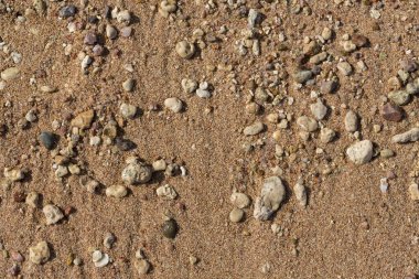 Kızıl Deniz 'in kıyı şeridi. Kum, çakıl taşı, mercan, fosil. Deniz temalı bir arkaplan.