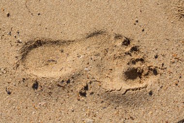 Kumda çıplak bir insanın ayak izi. Akşam güneşinin aydınlattığı ıslak bir yüzeyde iz. Kızıl Deniz.