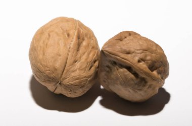 Beyaz arka planda iki ceviz. Kabuk üç lobdan oluşur..