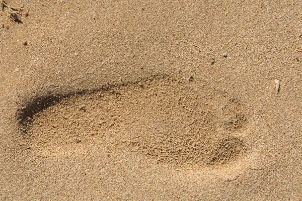 Kumda çıplak bir insanın ayak izi. Akşam güneşinin aydınlattığı ıslak bir yüzeyde iz. Kızıl Deniz.
