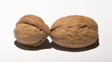 Beyaz arka planda iki ceviz. Kabuk üç lobdan oluşur..