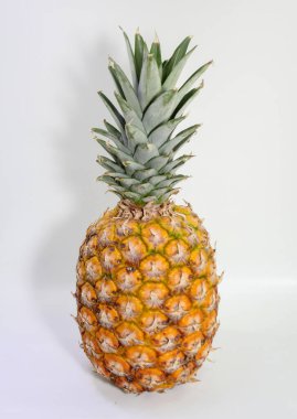 Beyaz arkaplanda tüm ananas yaprakları izole