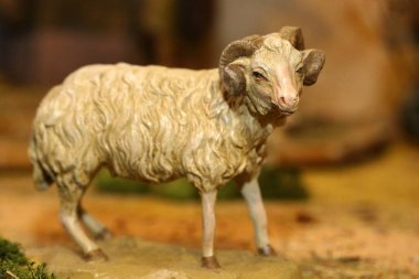 Bir koyunun doğuş figürü