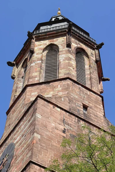 Torony Kollegiális Templom Landau Der Pfalz — Stock Fotó