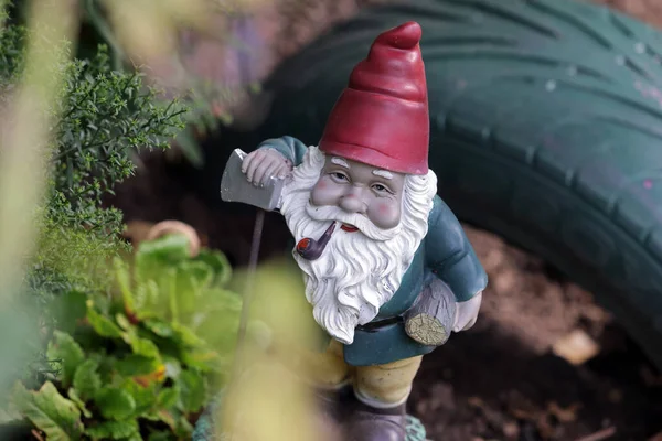 garden gnome, gnome, closeup