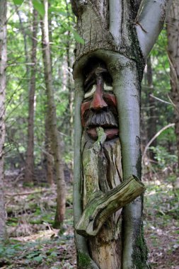 Orman hayaleti, oyulmuş yüz, yakın plan. 