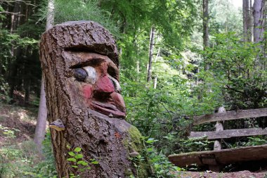 Orman hayaleti, oyulmuş yüz, yakın plan. 