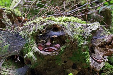 Orman hayaleti, oyulmuş yüz, yakın plan. 