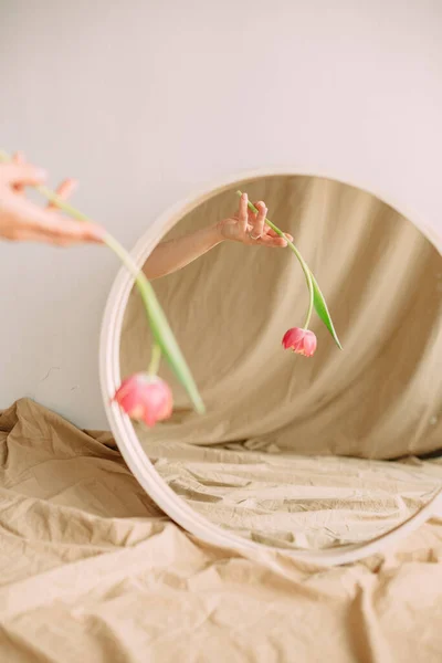Тюльпан Рожевий Відображенням Круглому Дзеркалі Романтична Голода — стокове фото