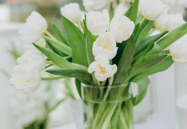 Букет Білих Тюльпанів Скляній Вазі Весняний Час — стокове фото