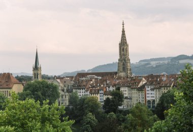 old town of switzerland against the backdrop of mountains and spring vegetatio