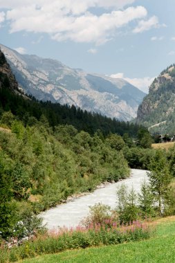 mountains and green meadows of switzerland reserve and ecology natur