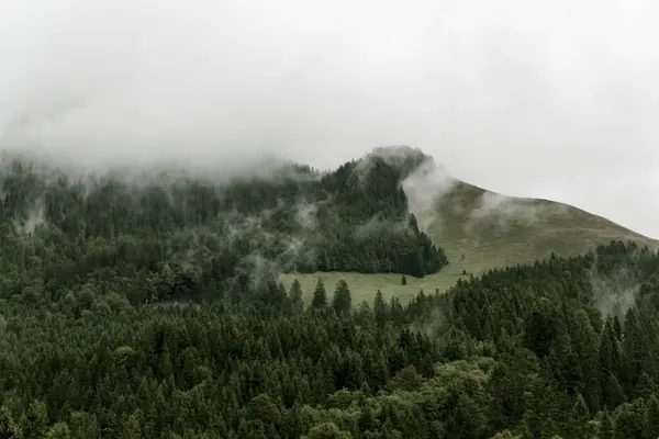 Βουνά Ροκ Όμορφη Φύση Τοπίο Πράσινο Λιβάδι Γρασίδι Και Ομίχλη Royalty Free Εικόνες Αρχείου