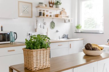 Modern İskandinav Mutfağı Minimalist Tasarım Doğal Deco