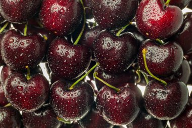 Kiraz arkaplanı. Ekşi kiraz. Olgun kirazlar ve saplar. Saplı ve damlacıklı vişne.