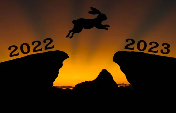 stock image A cute new born rabbit jump between 2022 and 2023 years over the sun and through on the gap of hill silhouette evening colorful sky. happy new year 2023.