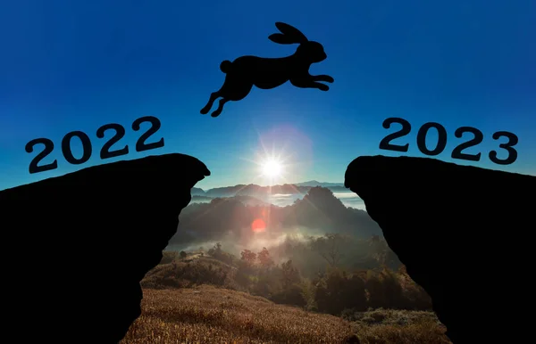 A cute new born rabbit jump between 2022 and 2023 years over the sun and through on the gap of hill silhouette evening colorful sky. happy new year 2023.