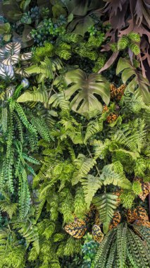 Green leaf background. Herb wall, plant wall, natural green wallpaper and background. nature wall. Nature background of green forest