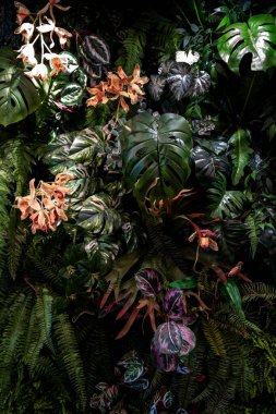 Herb wall, plant wall, natural green wallpaper and background. nature wall. Nature background of green forest