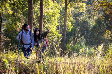 Güzel Rocky Patikası 'nda sırt çantasıyla Sıcak Güneşli Gezginler Yürüyüşü. Sırt çantalı yürüyüşçüler dağlarda yürürler. Sırt çantalarınızla dağlarda dolaşın. Sırt çantasıyla dağda seyahat et.