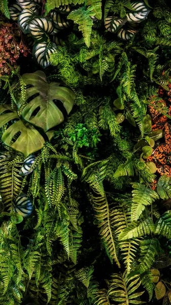 ハーブの壁 植物の壁 自然の緑の壁紙と背景 自然壁だ 緑の森の自然背景 — ストック写真