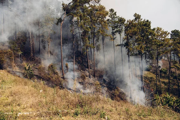 산에서 산불이 화염에서 연기가 산불로 화재가 있었던 반대편이었습니다 산불이 — 스톡 사진