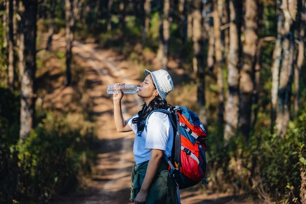 Woman Resting Forest Drinking Water Recuperating Climber Rests Hikers Backpacks — Stock Photo, Image