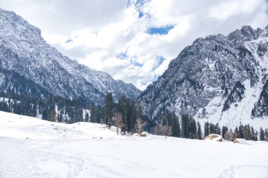 Forest and mountain in Winter Season. The snow-covered fields. Awesome Beautiful tourism winter vacation background