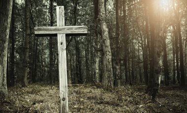 Cross in forest . Easter background concept and The crosses sign.	