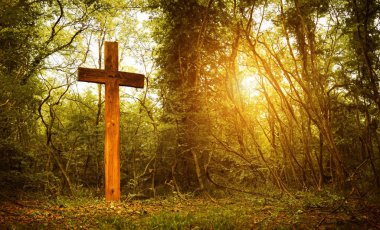 Cross in forest . Easter background concept and The crosses sign.	
