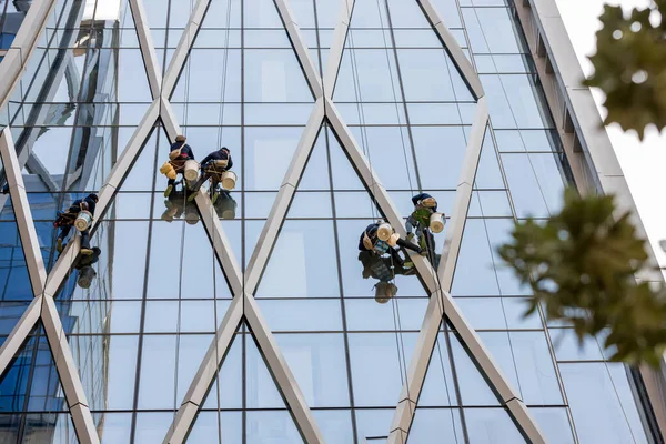 stock image Workers washing windows of the skyscraper building. Window washer workers are cleaning window class of high modern building. Abseiling from high to low by safety rope and clean window glass by hand. 
