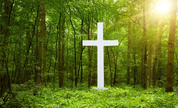 Cross Forest Easter Background Concept Crosses Sign — Stok fotoğraf
