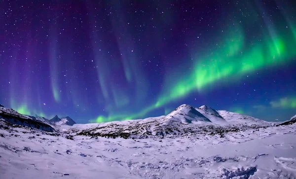 北极光奥罗拉 Oora Borealis 一个美妙的夜晚 冰原上有北极光 冰岛螺旋北极光 — 图库照片