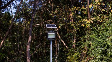 Modern bir sokak LED ışıklandırma direği. Şehir elektro-enerji teknolojileri. Led ışığıyla yoldaki direkler. Açık hava aydınlatma güçlü LED lamba. 