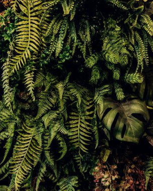 Herb wall, plant wall, natural green wallpaper and background. nature wall. Nature background of green forest