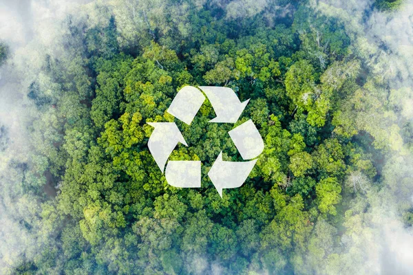 Символ Переробки Фоні Лісу Екологічна Концепція Екологія Переробка Нульові Відходи — стокове фото