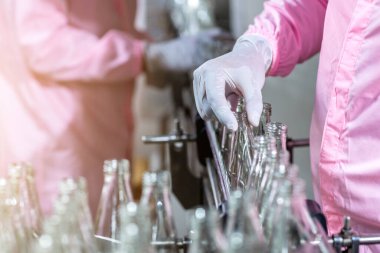 Worker Checking quality or checking stock of glass bottle in beverage factory. Worker QC working in a drink water factory 